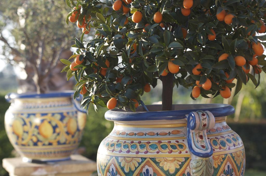 Villa Papardo Giarre Pokoj fotografie